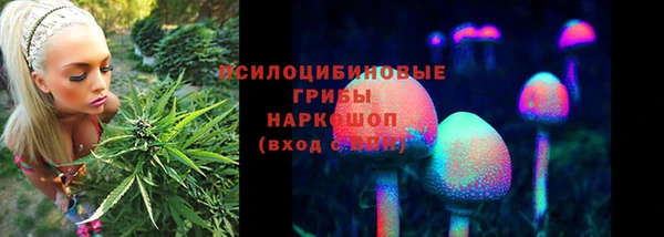 бошки Арсеньев