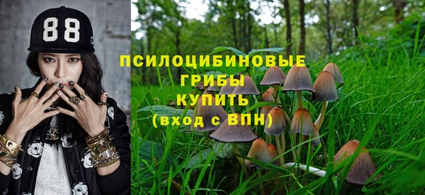 бошки Арсеньев