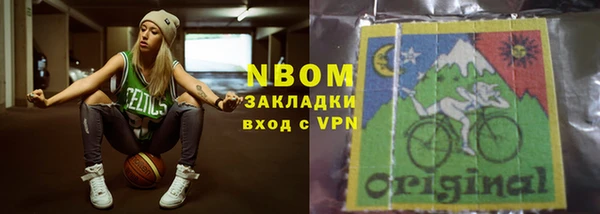 хмурый Аркадак