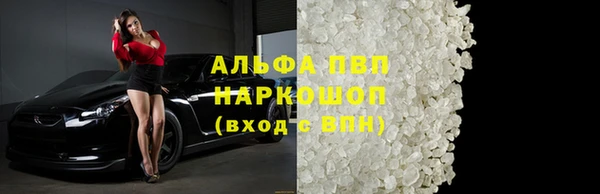 хмурый Аркадак