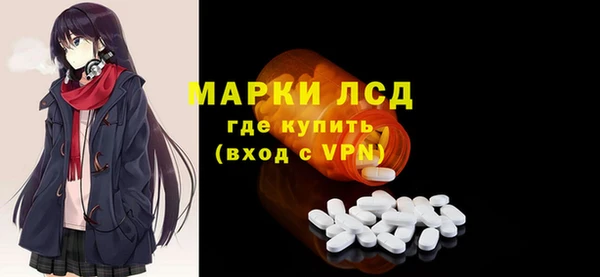 хмурый Аркадак