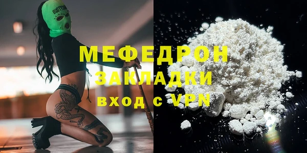 хмурый Аркадак