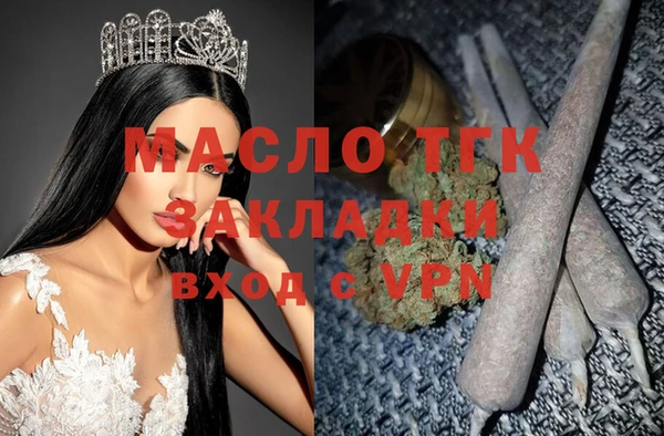 хмурый Аркадак