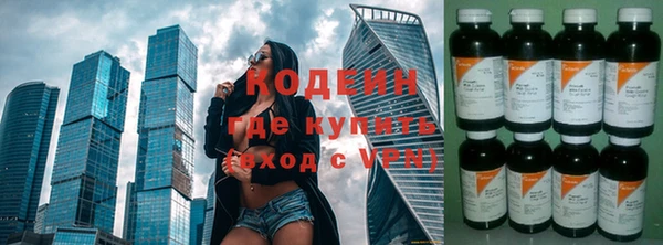 хмурый Аркадак