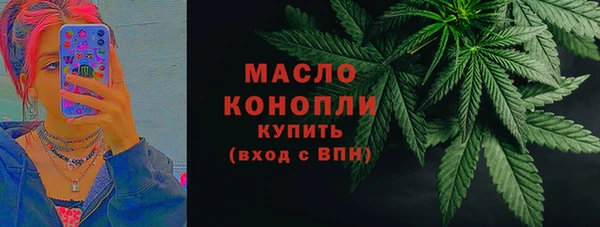 хмурый Аркадак