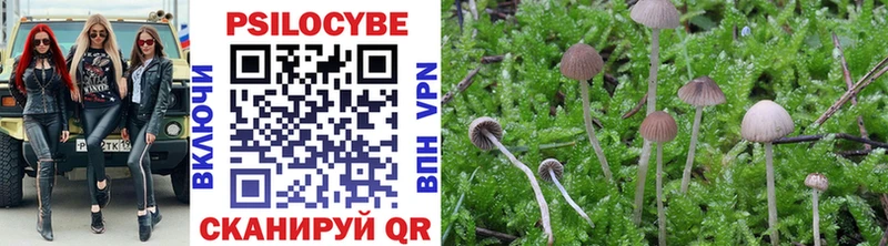 Купить  Николаевск  Псилоцибиновые грибы прущие грибы 